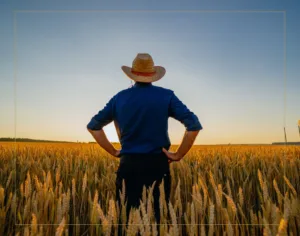 A criminalidade no campo