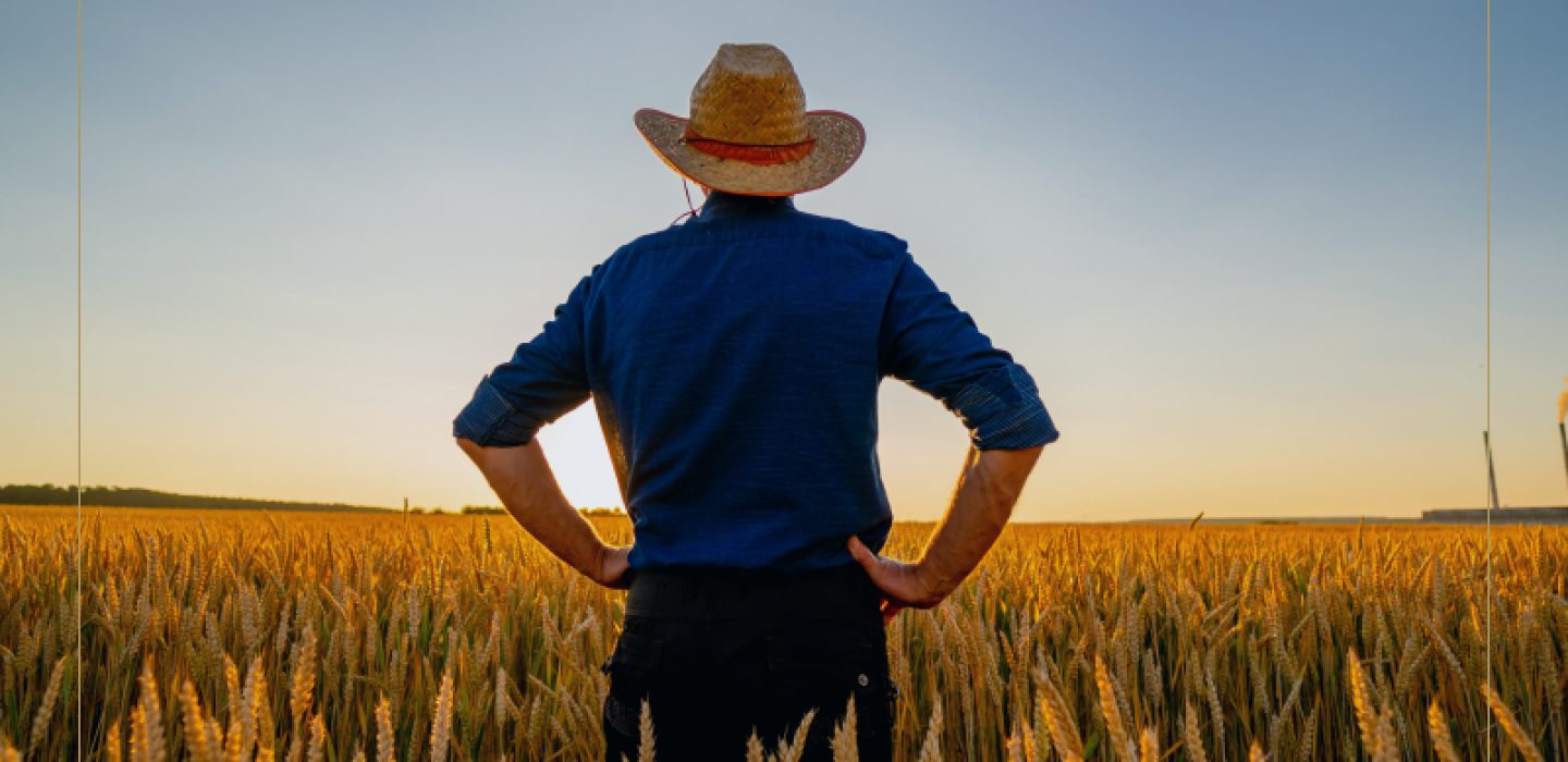 A criminalidade no campo