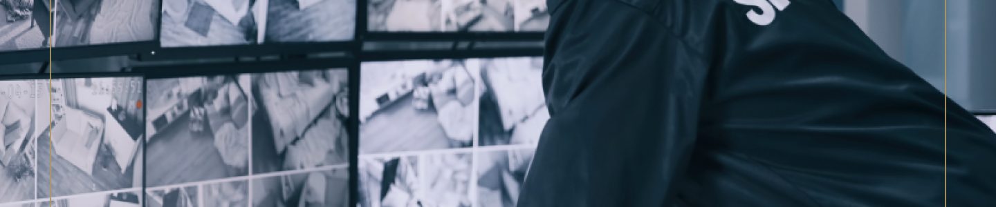 Seguranca-Patrimonial